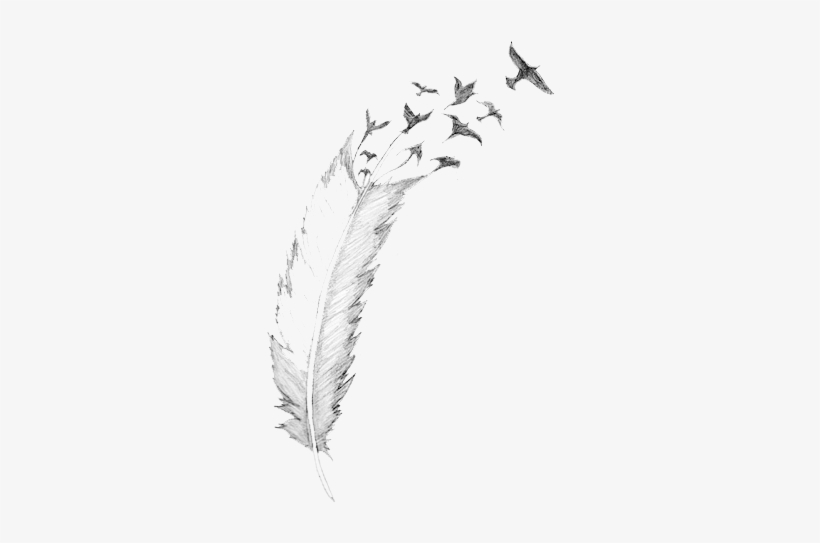 Blog Pluma - Take Those Broken Wings And Learn To Fly Quote, transparent png