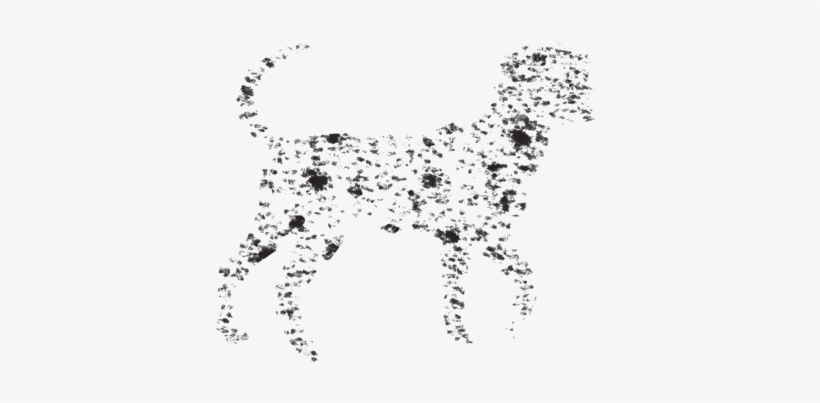 Speckles - Ancient Dog Breeds, transparent png