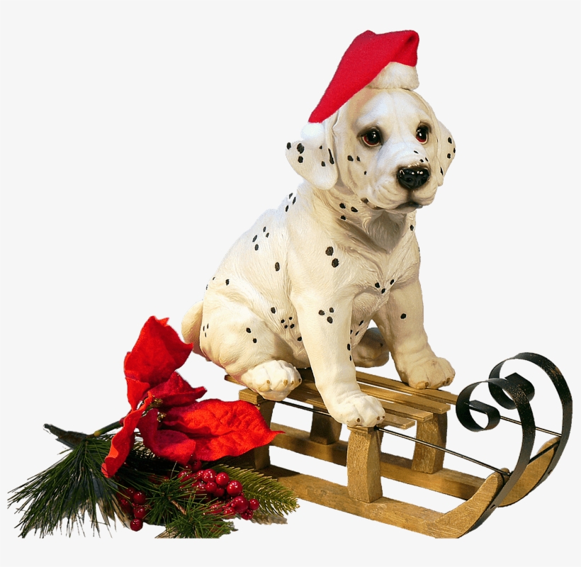 Christmas Dog On A Sledge Png - Christmas Dog Transparent, transparent png