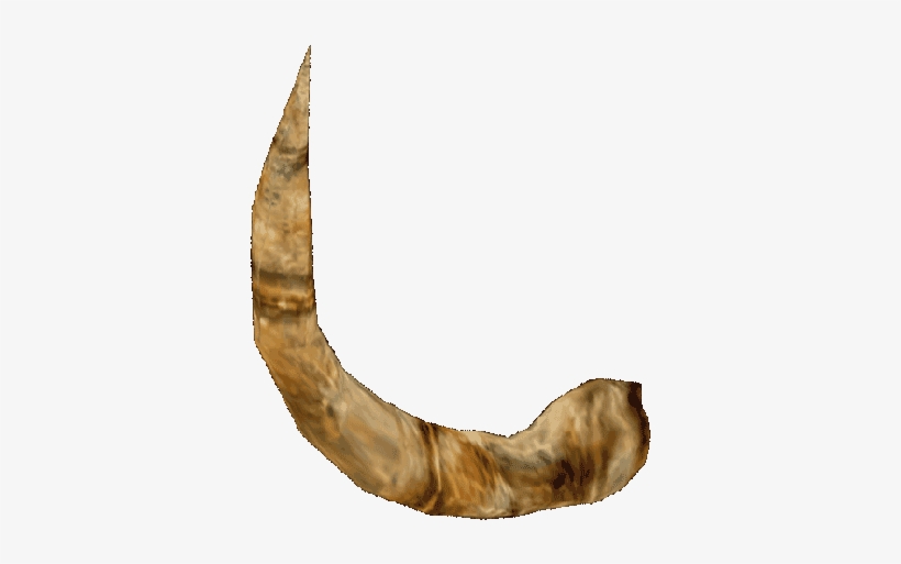 Svg Free Library Horn Elder Scrolls Fandom Powered - Horn Of Minotaur, transparent png