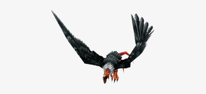 Vulture - Carrion Bird, transparent png