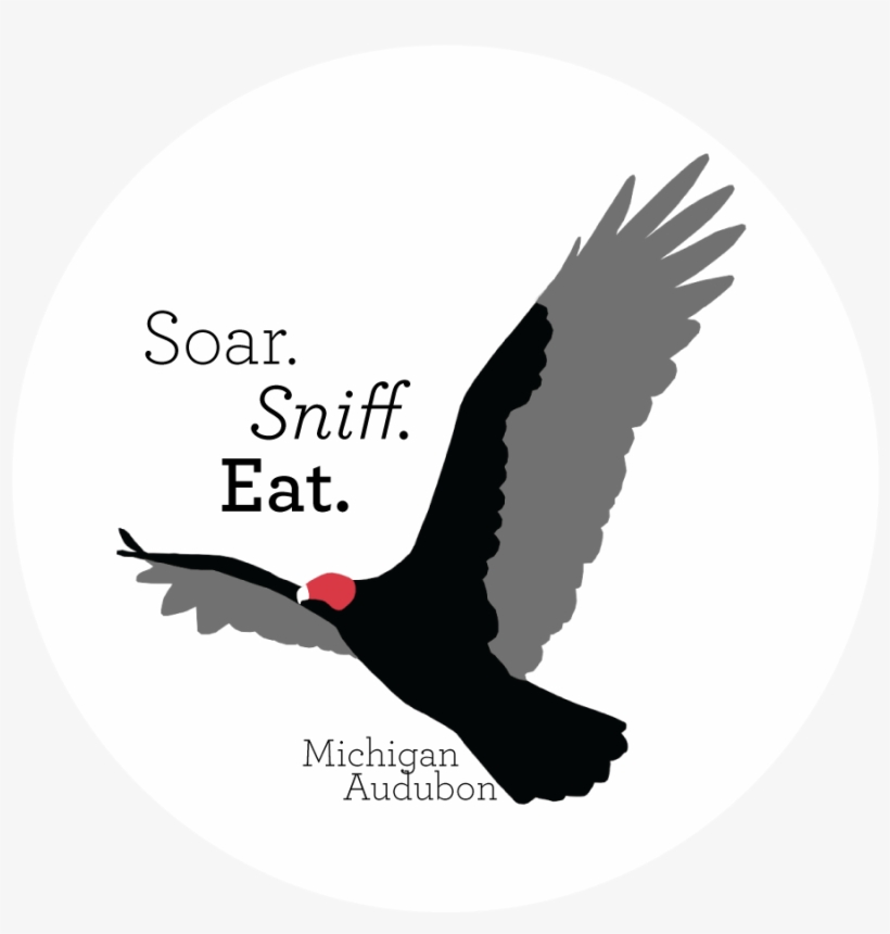 Get Ready To Soar, Sniff, And Eat Like A Vulture - Eagle, transparent png