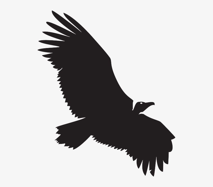 Google Search - Vultures In The Sky (a Hugh Rennert Mystery) By Todd, transparent png