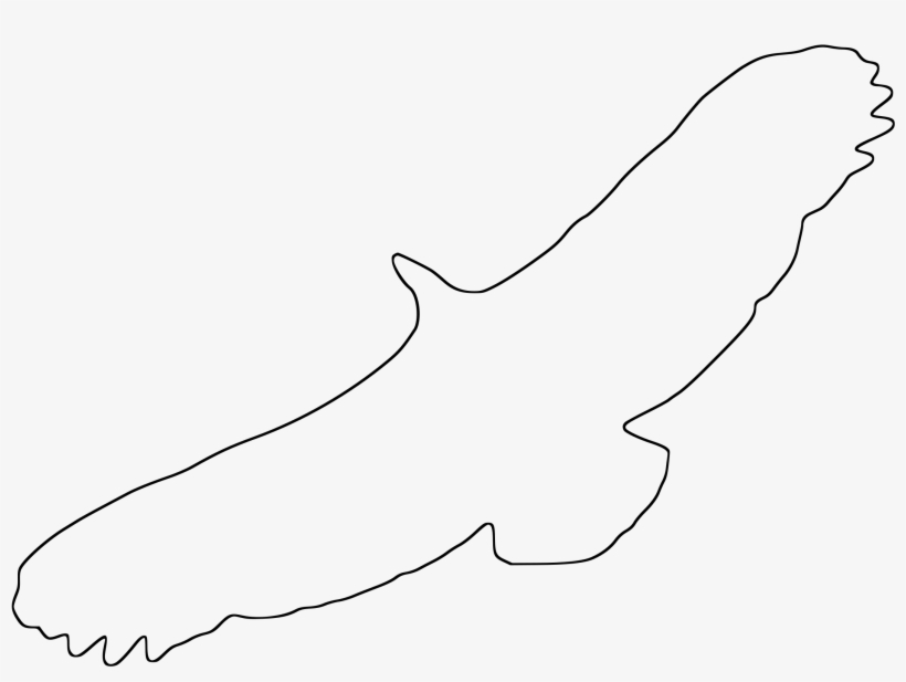 This Free Icons Png Design Of Griffon Vulture Outline, transparent png