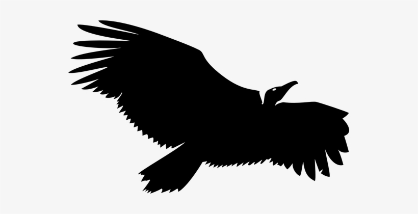 Vulture Silhouette Black Flying Isolated S - Vulture Clipart Png, transparent png