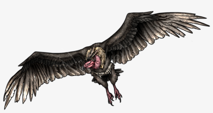Clip Art Transparent Library Vultures Drawing Realistic - Mandibuzz Creepy, transparent png