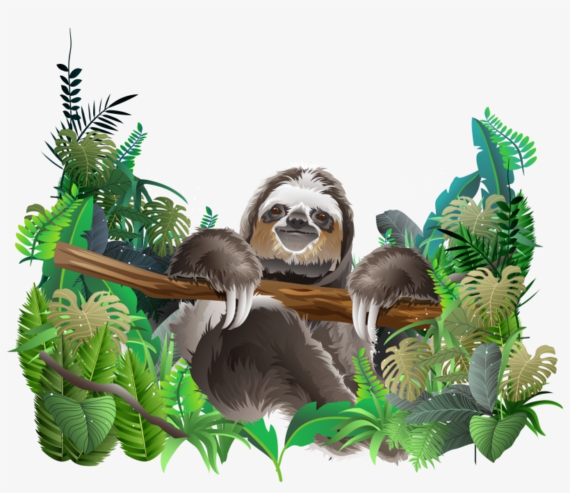 Clipart Royalty Free Library Sloth Euclidean Rainforest - Lb Prepasted Wall Mural Foto Wall Decor Wallpaper Freshness, transparent png