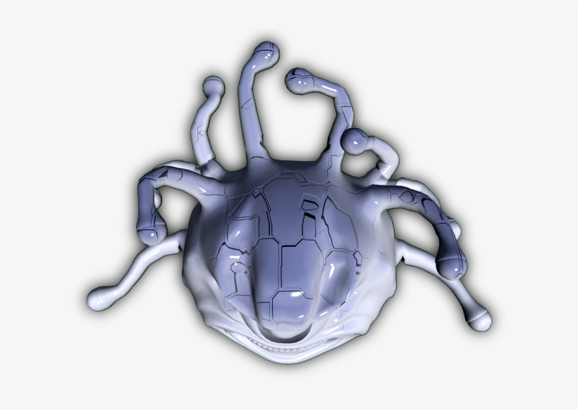 And My Contribution As Well - Spider, transparent png