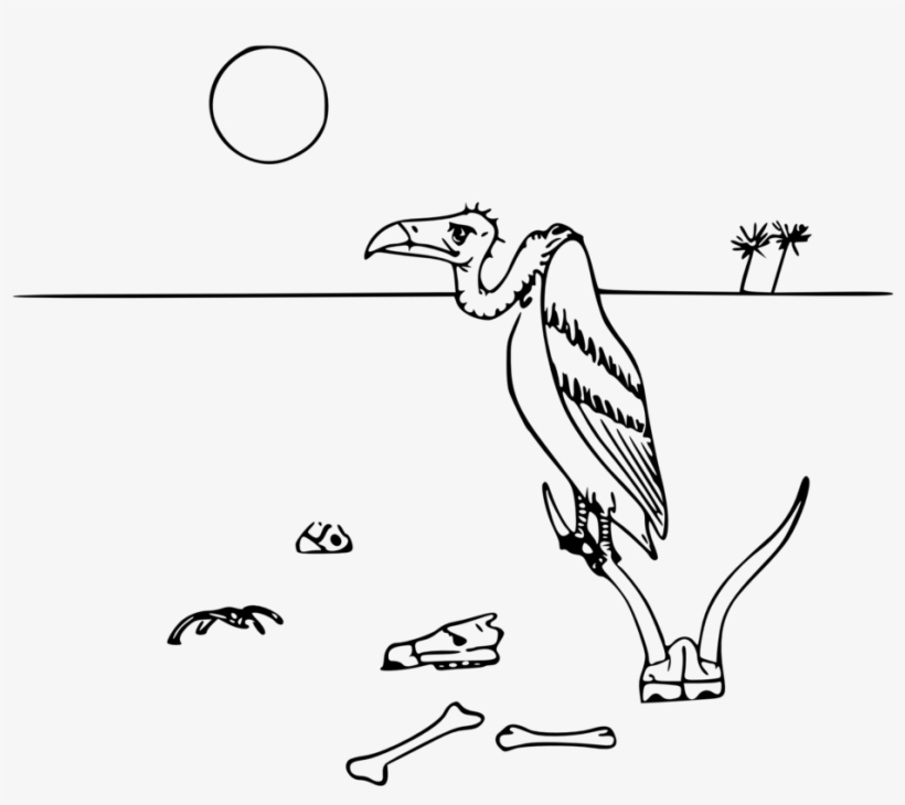 Vulture In The Desert - Desert Drawing With Animals, transparent png