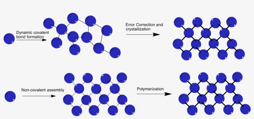 2d Polymerization Under Thermodynamic Control Versus - Covalent Bond Polymer, transparent png