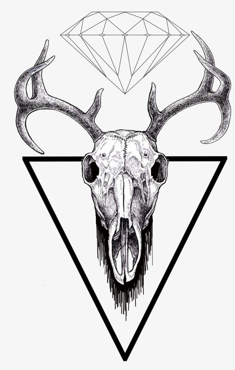 Find Us On Facebook - Stag Skull Clip Art, transparent png