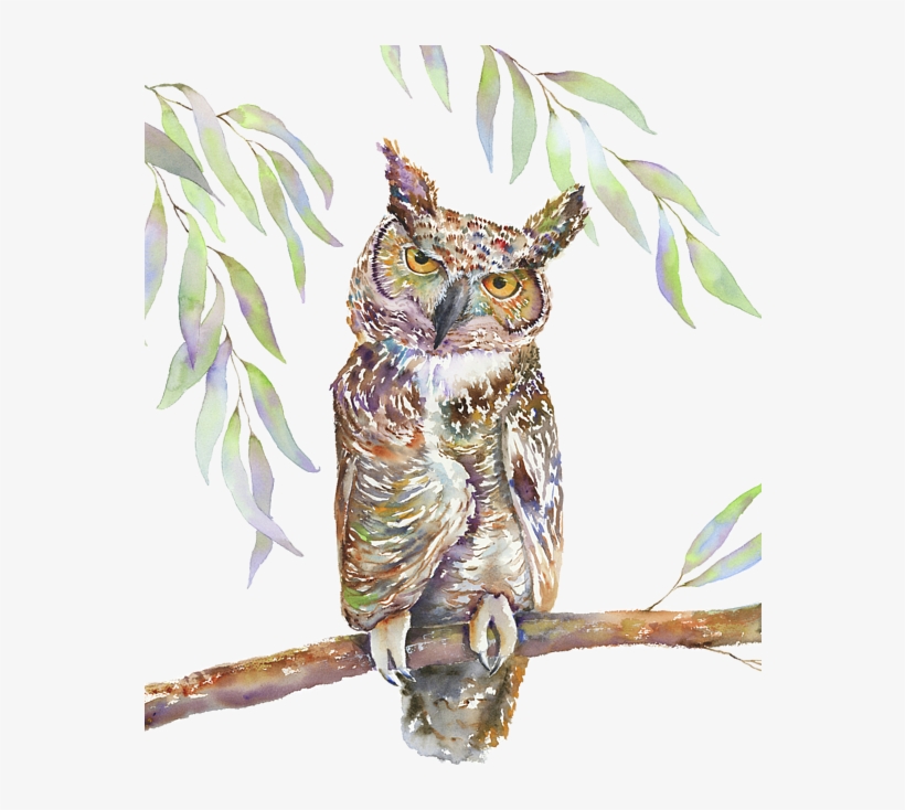 Bleed Area May Not Be Visible - Great Horned Owl, transparent png