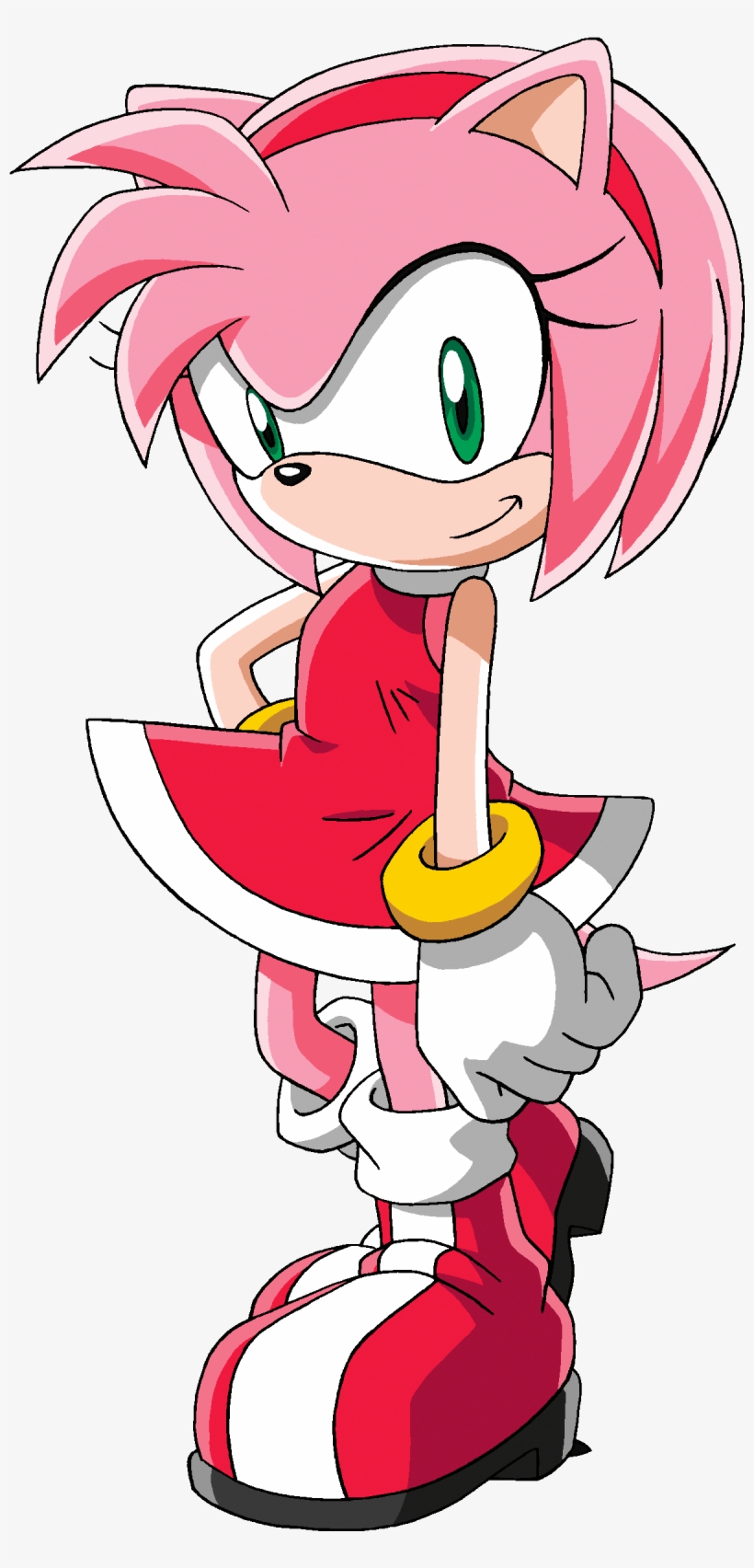 Sonic X Standard Pose - Pink Girl From Sonic, transparent png