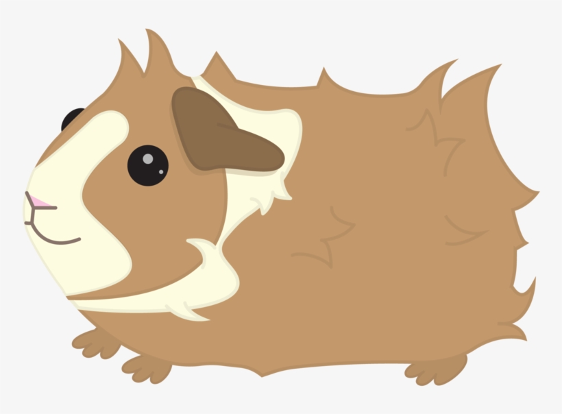 Clipart Royalty Free Library Contact Me Piggies Designs - Clipart Guinea Pig Png, transparent png