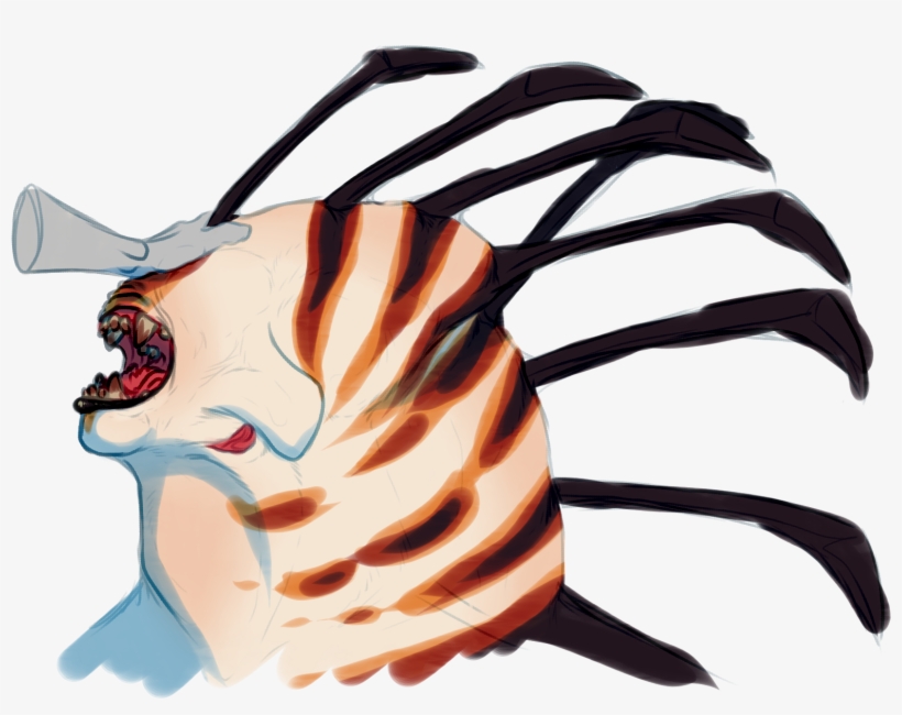 [p] Yay Pats, transparent png