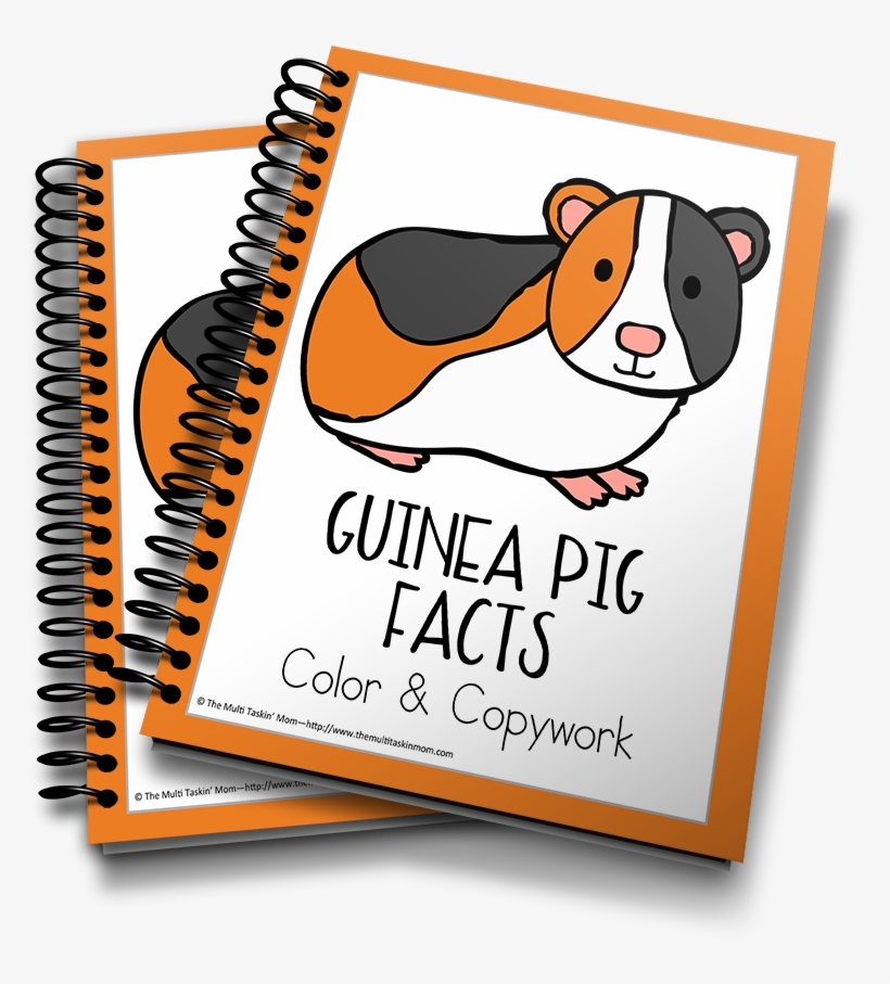 Guinea Pig - Captured Memories Workbook: Looking Back [book], transparent png
