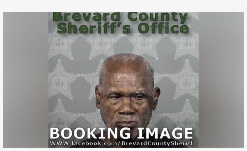 88 Year Old Palm Bay Man Arrested After Setting Raccoon - Ezra James Racoon, transparent png