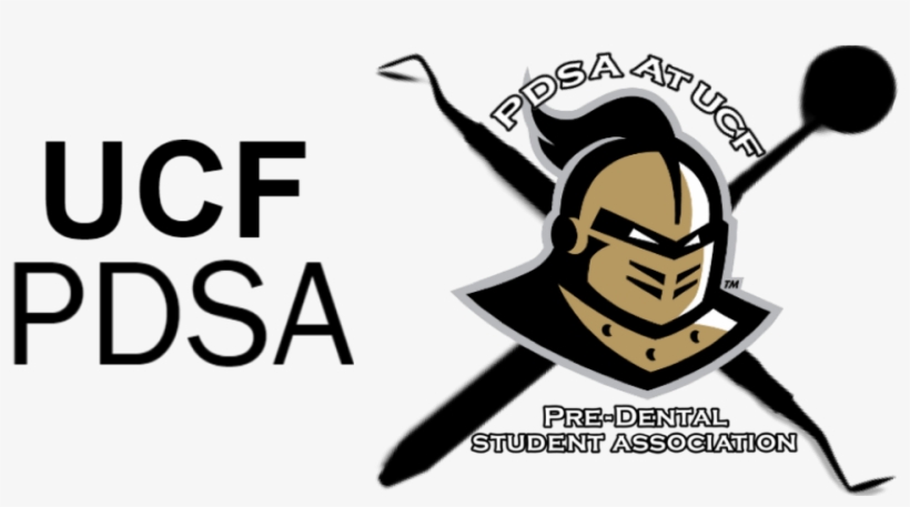 Search For - - Ucf Pdsa, transparent png