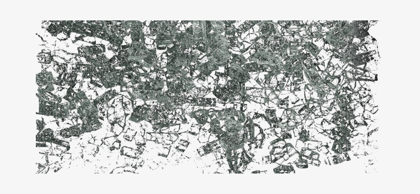 Wine, transparent png