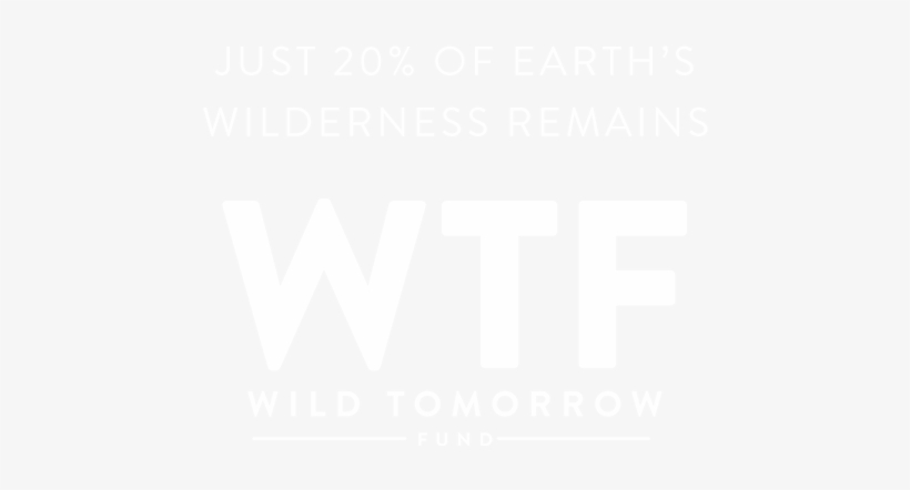 Wtf - Squarespace, transparent png