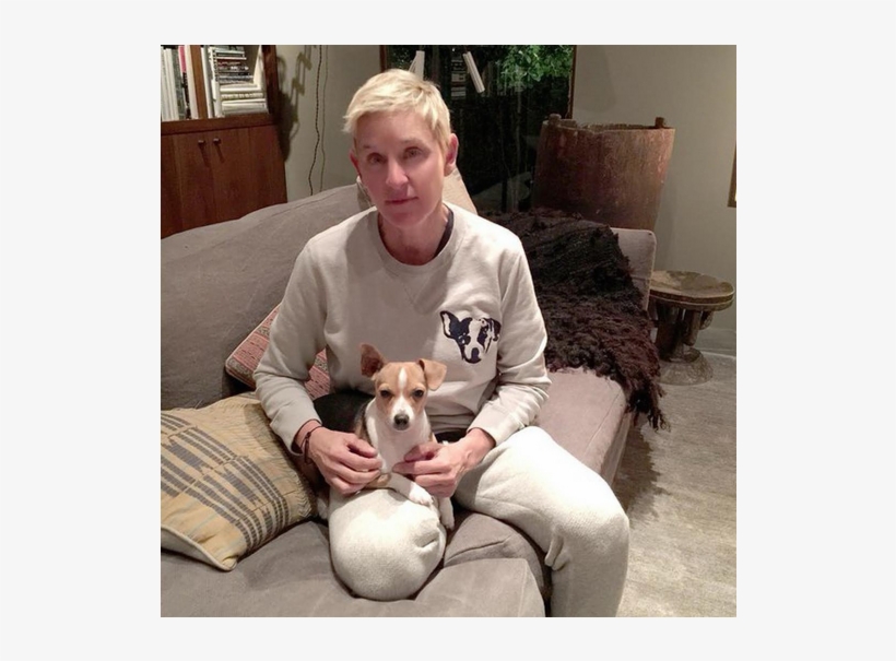 Ellen Degeneres Et Son Chien Augit Ellen's Dog Augie 1200x630 PNG