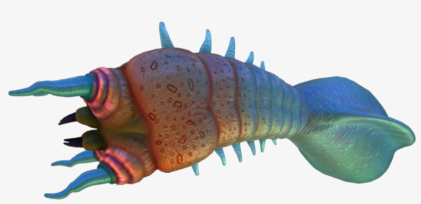 Bleeder, transparent png