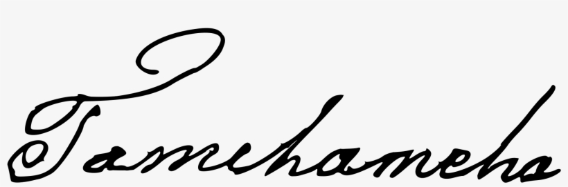 “this Does Not Look Like Me” - Tamehameha Signature, transparent png