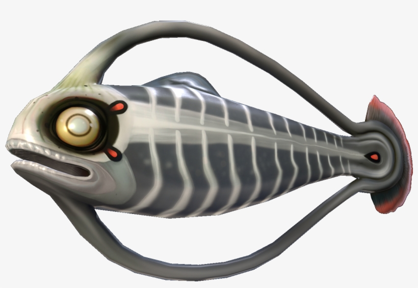 Image Hoopfish Fauna Subnautica - Gas Pods Subnautica, transparent png