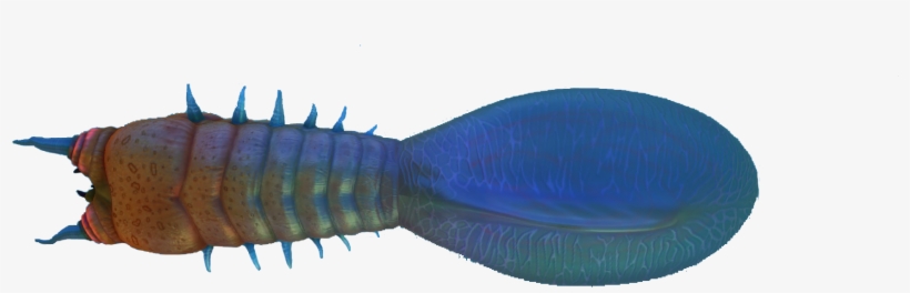 Bleeder Fauna - Subnautica Bleeder, transparent png
