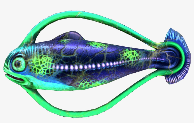 Infected Hoopfish - Portable Network Graphics, transparent png