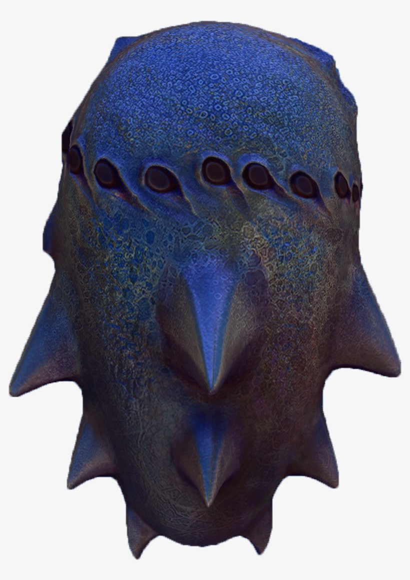 Eggs, transparent png
