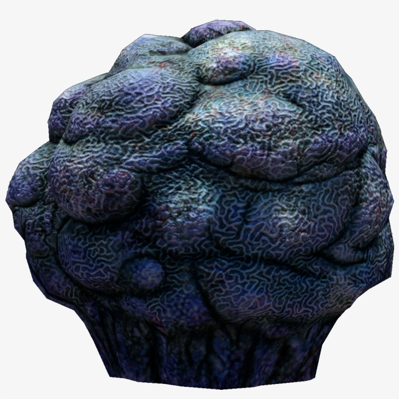 Lost River Cave Coral Fauna - Cave, transparent png