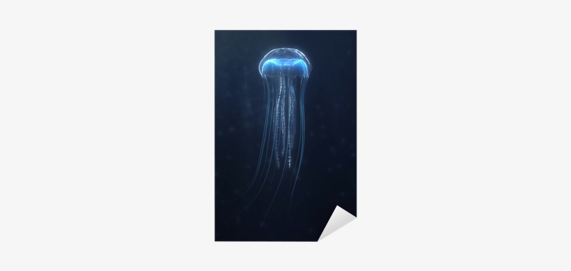 Sticker, transparent png