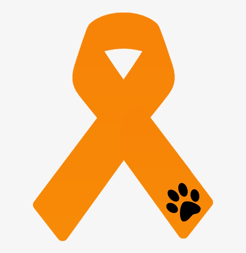 Liston Naranja Png - Lazo Naranja Maltrato Animal, transparent png
