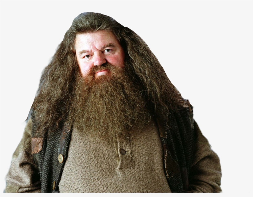 Report Abuse - Robbie Coltrane Rhona Gemmell, transparent png