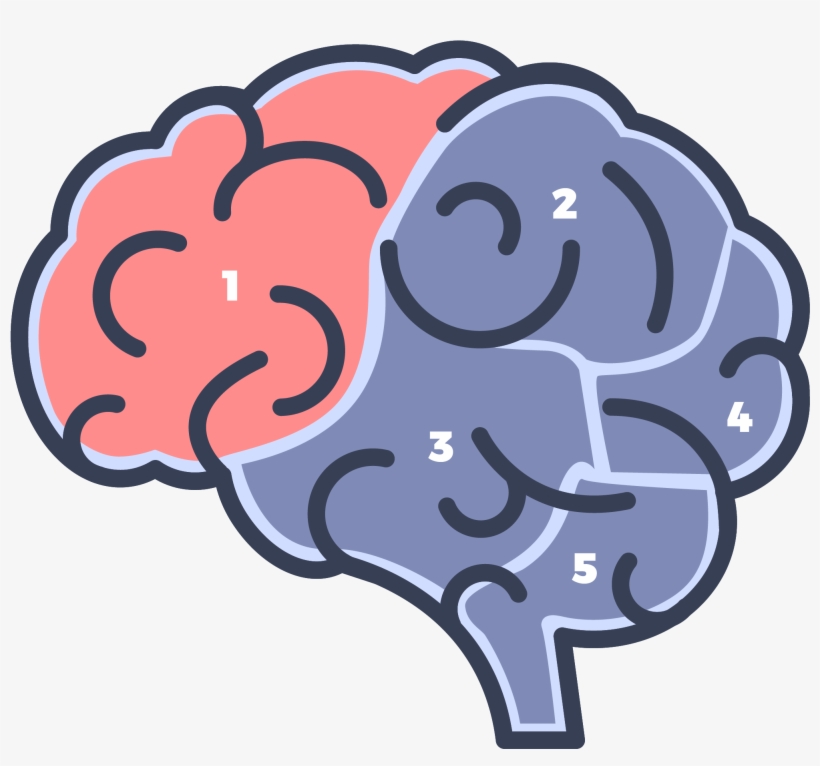 Starting My Career In The Media Sector Gave Me The - Book, transparent png