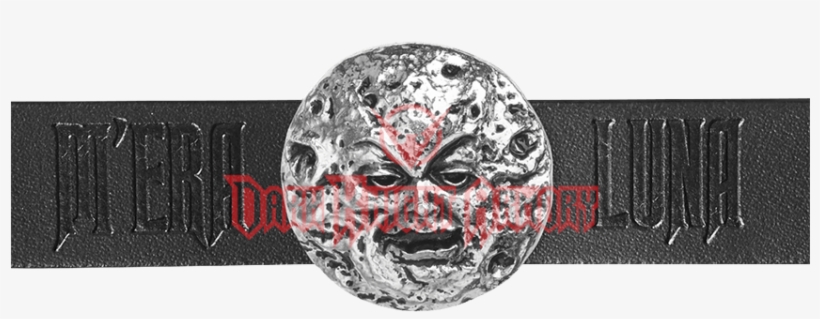 Belt, transparent png