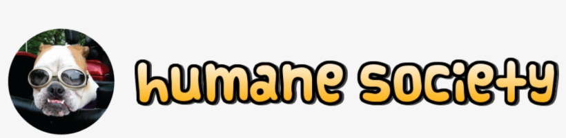 Kahoot - Graphics, transparent png