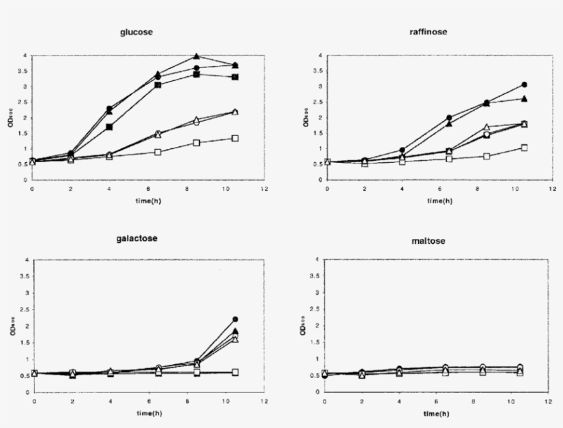Carbon Source Dependent Variation In The Vhs Induced - Diagram, transparent png