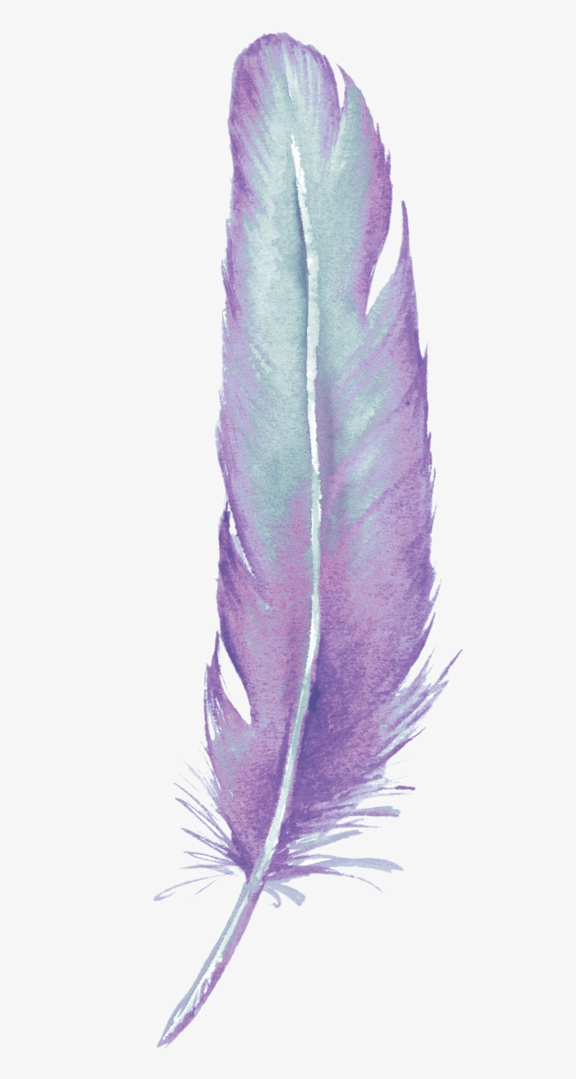 Dreamcatcher/dream Catcher ~ Zen Feathers - Be Brave, transparent png
