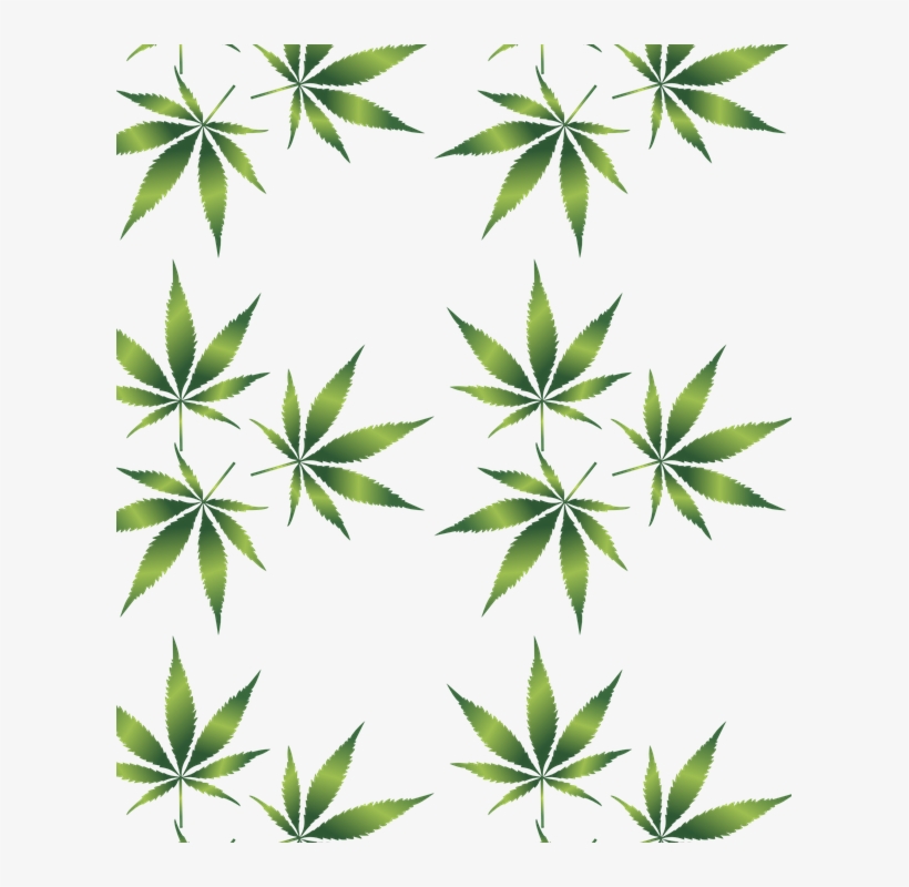 Last Week I Attended A Seminar Entitled Marijuana And - Weed Leaf Pattern Png, transparent png