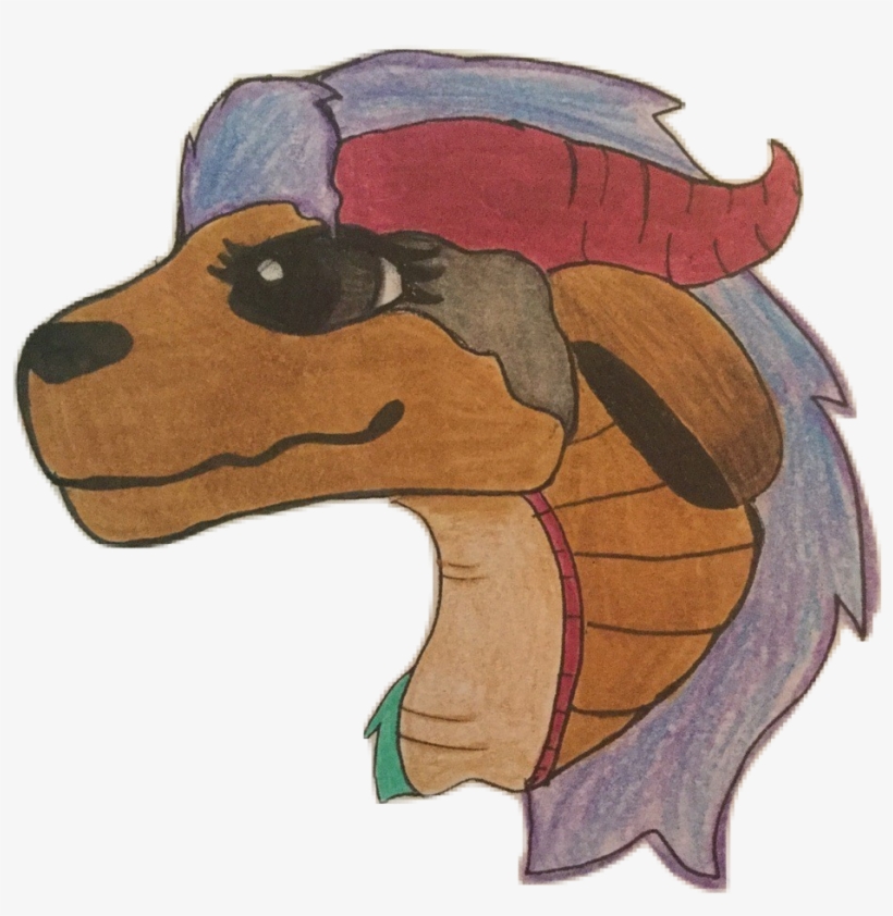 Raccoon, transparent png
