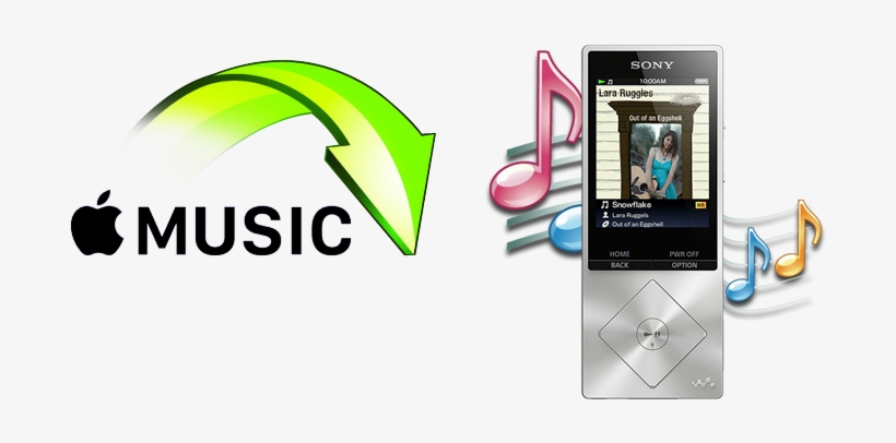 Sony Music Player Nwza17slv - Silver - With Sony 32, transparent png