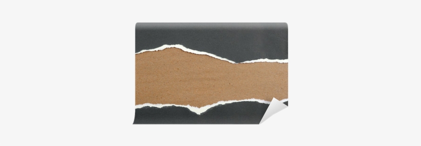 Paper, transparent png