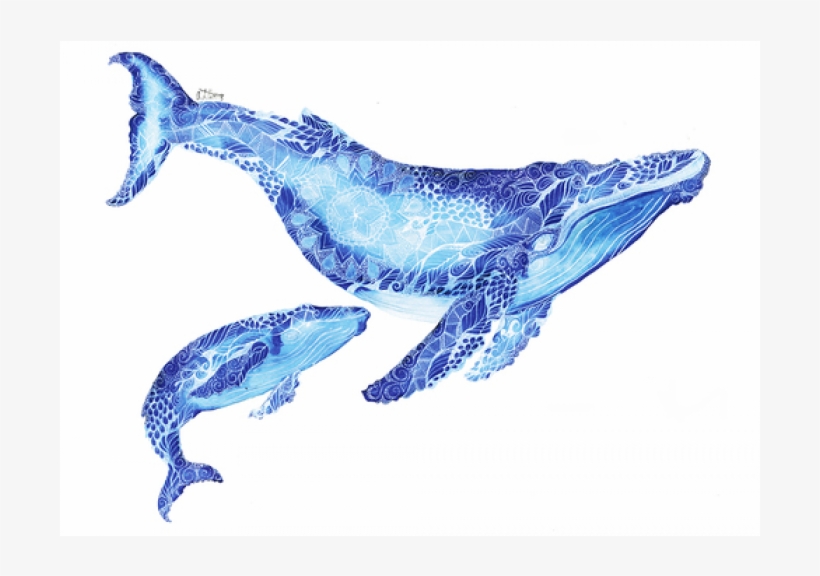 Wall Art Prints - Whale Mandala, transparent png