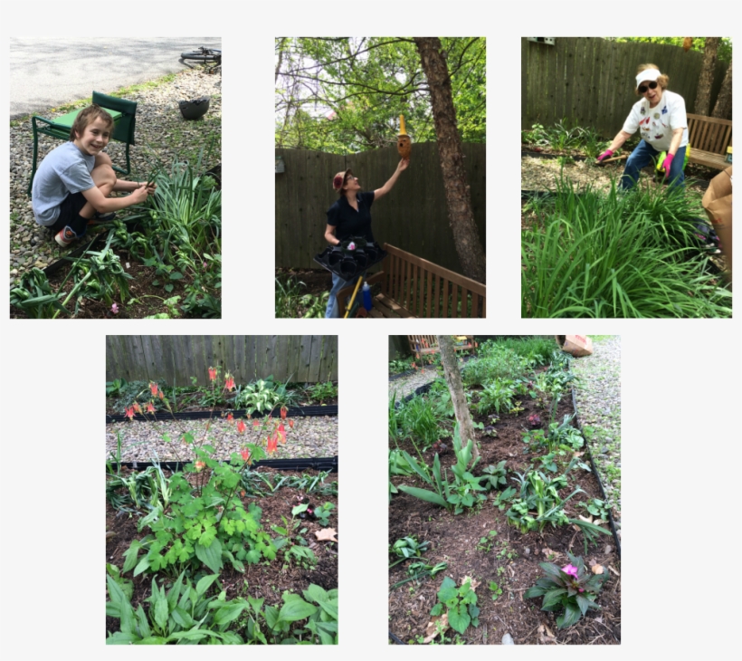 Picture - Yard, transparent png