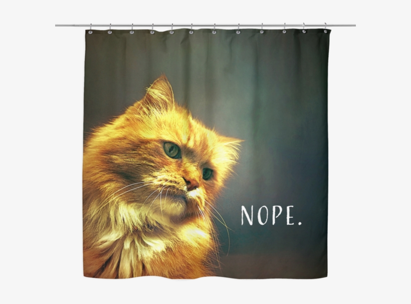 Cat Nope Shower Curtain - Kitten, transparent png