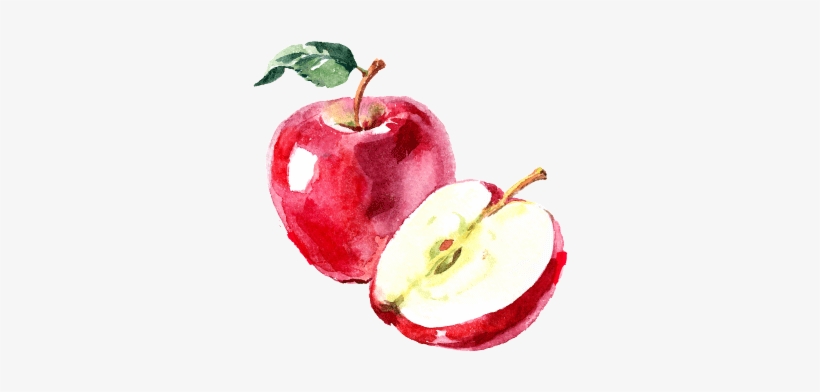 About The Food Access In Michigan Project - Free Watercolor Apple, transparent png