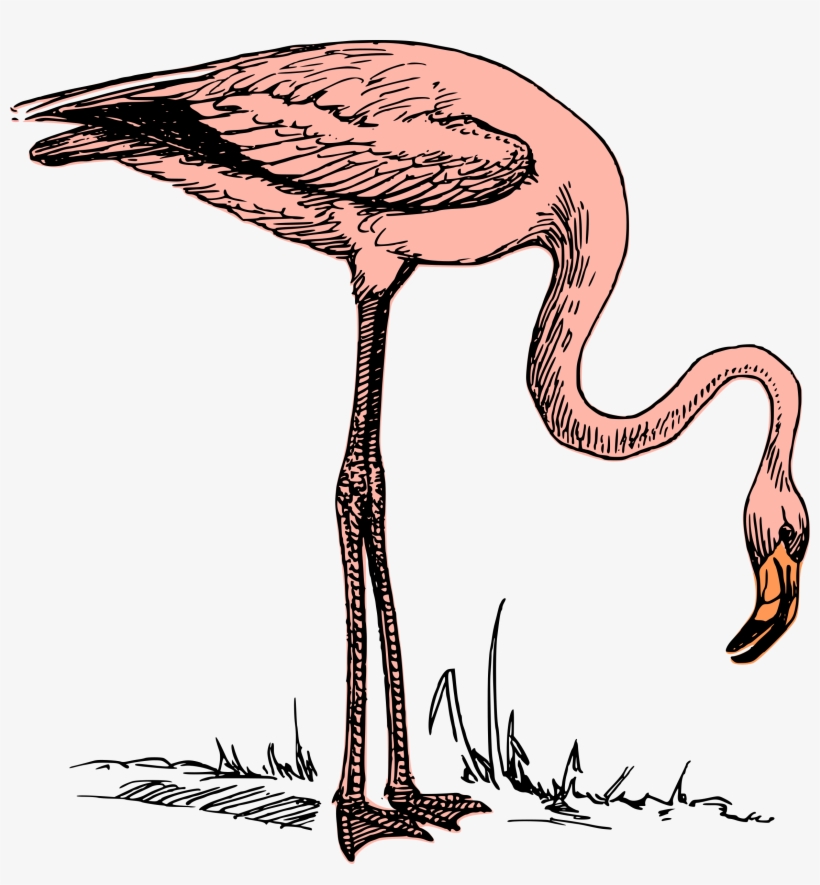 This Free Icons Png Design Of Pink Flamingo, transparent png