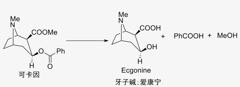 Hydrolysis Of Cocaine - Кокаин С Перманганатом Калия Реакция, transparent png